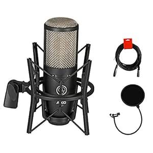 AKG Project Studio P220 Large Diaphragm Condenser Microphone with Pop ...