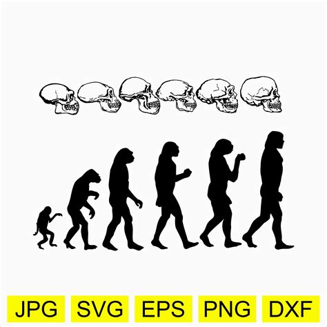 Evolution of Man Vector 的图像结果