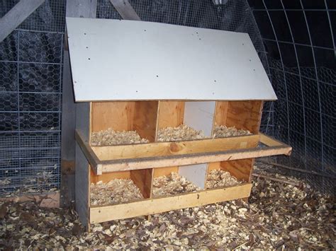 Easy Build Chicken Nesting Boxes at Alan Burke blog