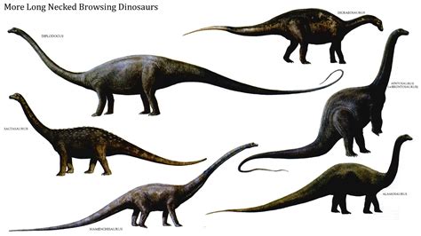 Los Favoritos Del Spinosaurus Por Dinosuarjosh