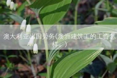 澳大利亚出国劳务(澳洲建筑工的工资怎样。)_劳务问答_劳务信息网