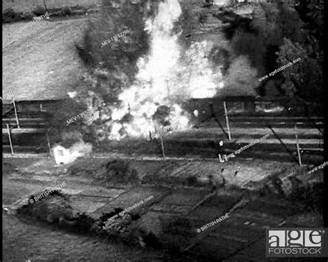 Image result for Exploding Nose