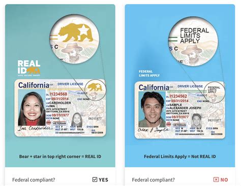 Real ID Act: Full guide and things to know - The Points Guy