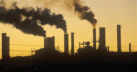 Bad Particles 的图像结果