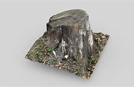 Image result for Tree Stump Coffee Table with Glass Top