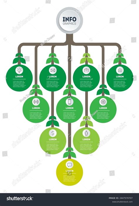 Image result for About Root System