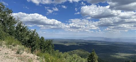 Bill Williams Mountain Trail, Arizona - 602 Reviews, Map | AllTrails