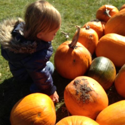 BASSE'S FARMS (2025) All You Need to Know BEFORE You Go (with Photos ...