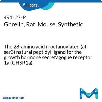 Ghrelin, Rat, Mouse, Synthetic The 28-amino acid n-octanoylated (at ...