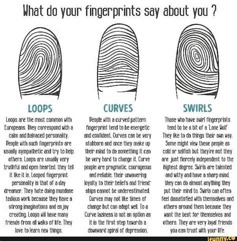 Types Of Fingerprint Loops at Sarah Boydston blog