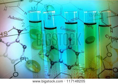 Formulation Science Theme 的图像结果