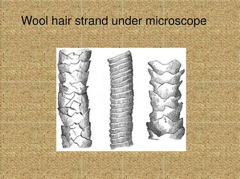 Image result for Processing of Wool Class 7