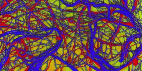 Image Recognition Deep Learning 的图像结果