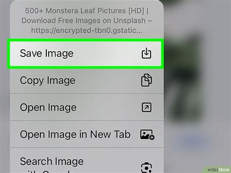 Image result for How Do You Open a Download File