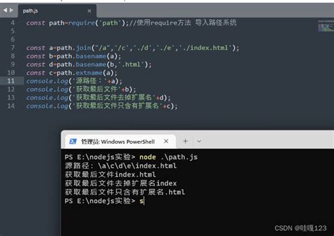JavaScript Path2d 的图像结果