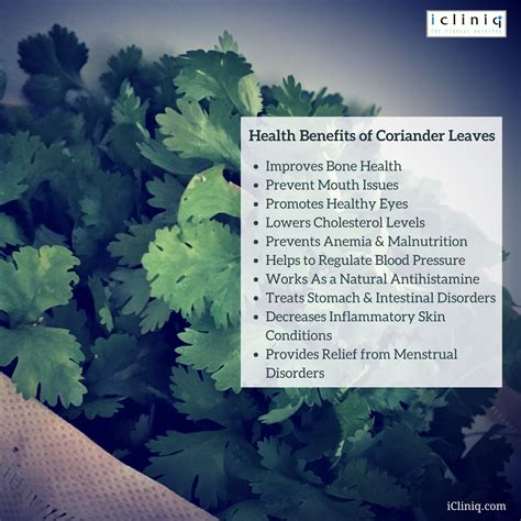 Ground Coriander Benefits