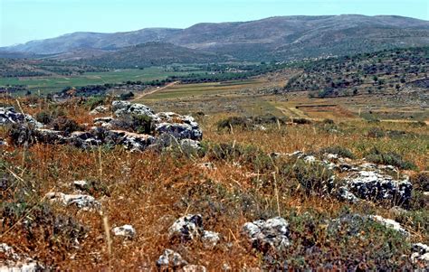 Shiloh was a city in the tribe of Ephraim