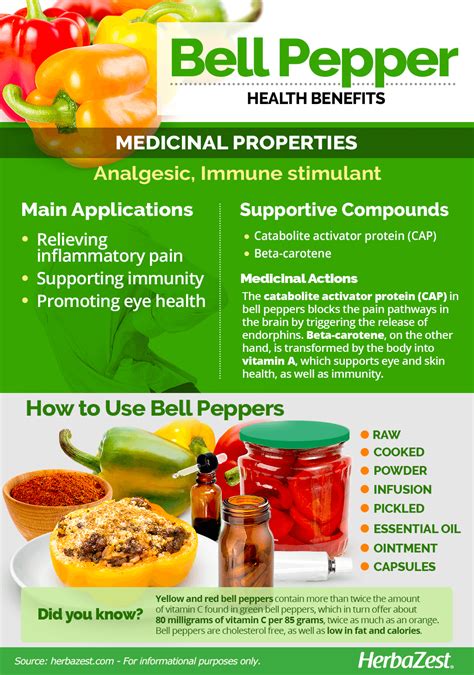 Bell Pepper | HerbaZest