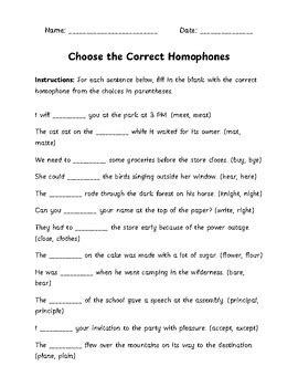 Image result for Homophones Break Brake Worksheet