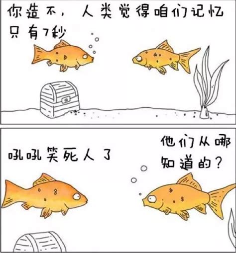 爆笑漫画：人们都说鱼只有七秒钟的记忆，可这条鱼记忆力却很强_腾讯新闻