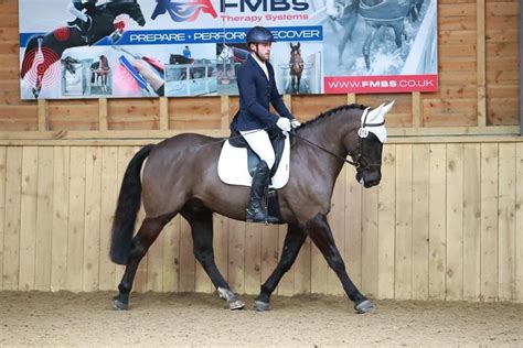 Dressage Clinic - Foxfield Equestrian , Swanmore, 25 June 2024 ...