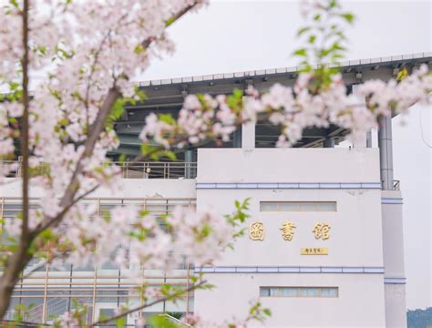 《浙江教育报》：实验室照常开放-浙江农林大学