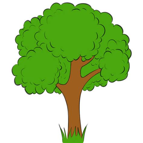 Image result for Scetching Lesson How to Draw a Tree