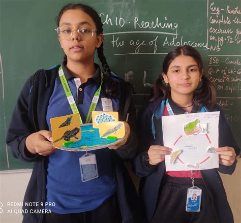 Science Model Making for Class 8 的图像结果