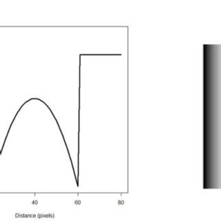 Image result for Diffuse Reflection Model