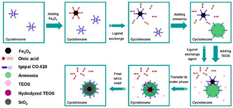 Iron Oxide@Mesoporous Silica Core-Shell Nanoparticles as Multimodal ...