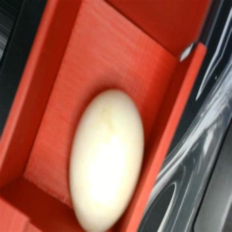 Image result for Egg Distribution Java Source Code