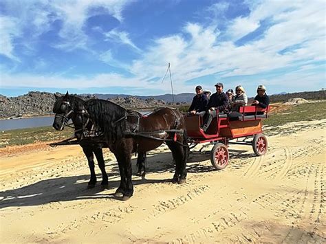 Op-Die-Berg Horse and Carriage Rides - 2022 What to Know Before You Go ...
