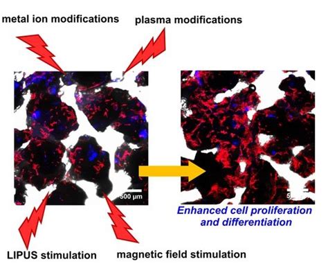 Current Trends in Fabrication of Biomaterials for Bone and Cartilage ...