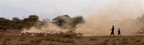 Ancient DNA is revealing the origins of livestock herding in Africa