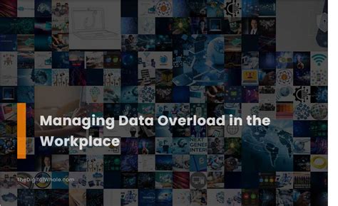 Data Overload 的图像结果