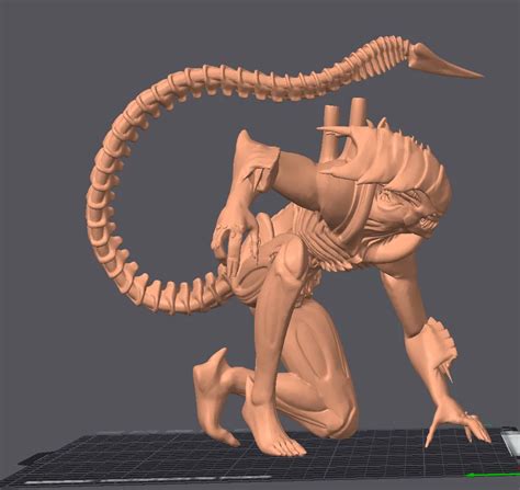 Alien Xenomorph 3D Model 的图像结果