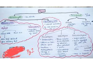 Microbes in human welfare - ~ 1 J\ /0\o b_Q { '1 illrd~ ~ -) (i) \o ...