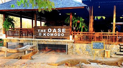 THE OASE @KOMODO, Komodo National Park - Restaurant Reviews, Phone ...