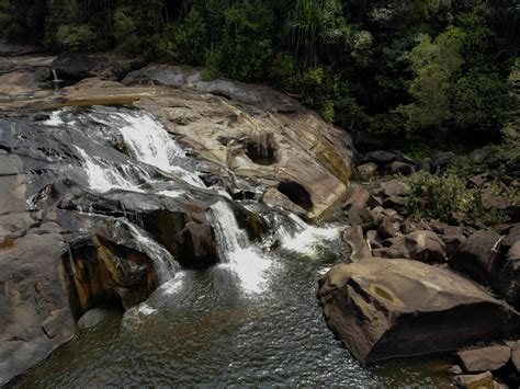 Discover ancient rainforest of Johor - Endau-Rompin - Konexer