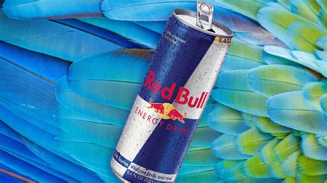 What Brand Is Red Bull at Bev Wood blog