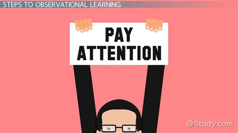 Image result for Observational Learning Examples