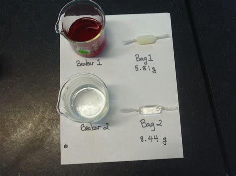 Image result for Diffusion Lab