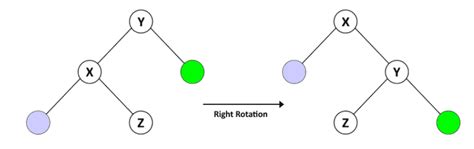AVL Tree Code in Java 的图像结果