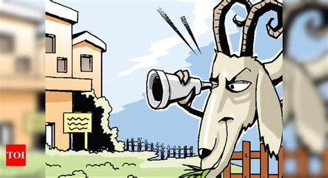 Uttar Pradesh: Shots fired, FIRs lodged as goat poop lights old rivalry ...