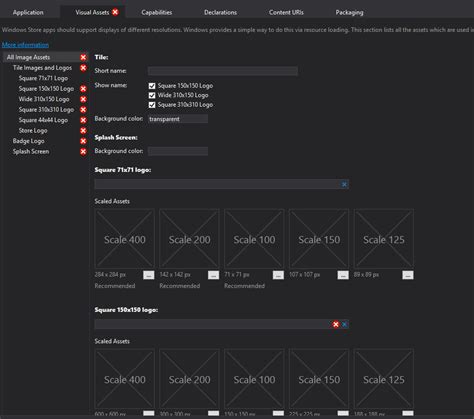 Image result for Visual Studio Vector Program