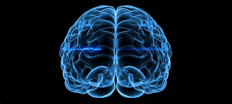 Kuvatulokset haulle what is brain