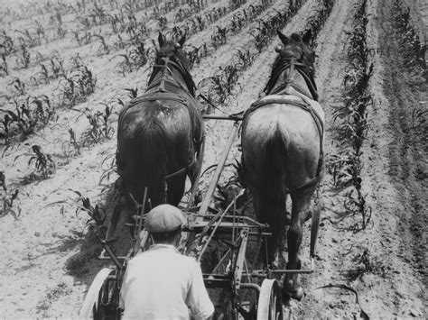 Travel Social Work Jobs Oregon at JENENGE blog