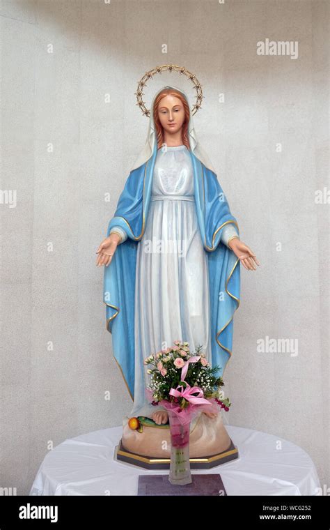Image result for Immaculate Conception Mary Statue