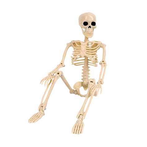 Buy CALANDIS® Mini Skeleton with Joints Movable Posing for Office ...