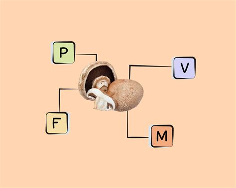 Portabella Mushroom Nutrients